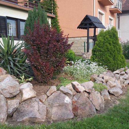 Apartment Flora Aranđelovac Exteriér fotografie